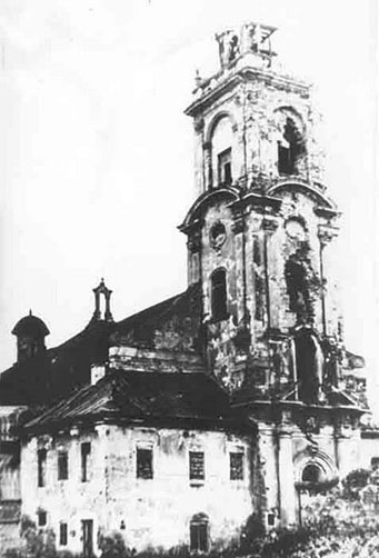 Каменец-Подольский. Руины. Доминиканский костел
