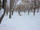Каменец-Подольский. Зимняя сказка_116