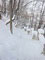 Каменец-Подольский. Зимняя сказка_124
